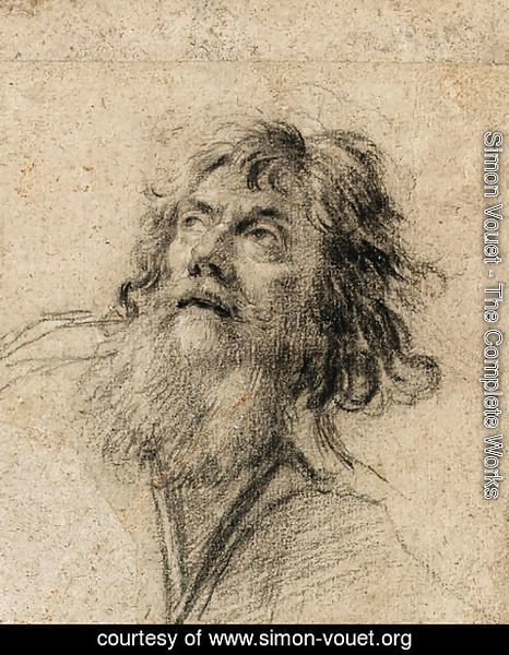 Simon Vouet - The Head of a bearded Man, looking up to the left